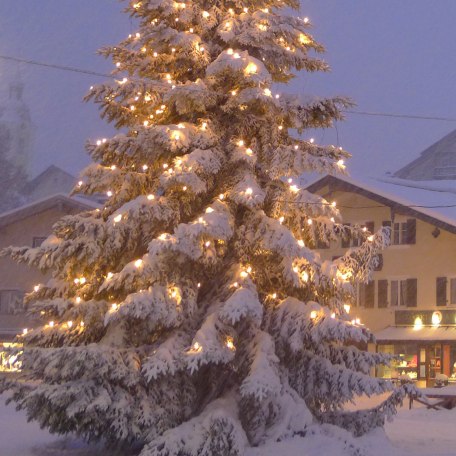 Weihnachtsbaum am Marktplatz, © Isabella Krobisch