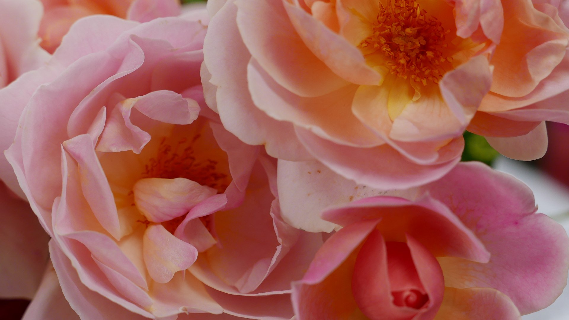 20221005_blumenfest, &copy; Stadt Miesbach