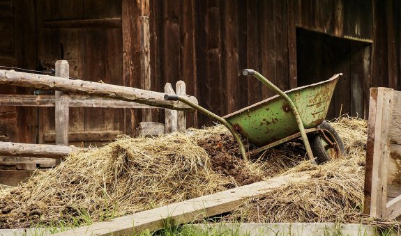 barn-4460490_1280_bettlhochzeit