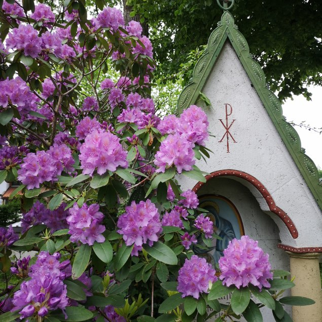 Waldfriedhof Miesbach, © Isabella Krobisch