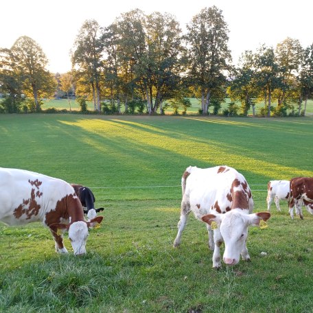 Biohof Oberlinner, © Biohof Oberlinner