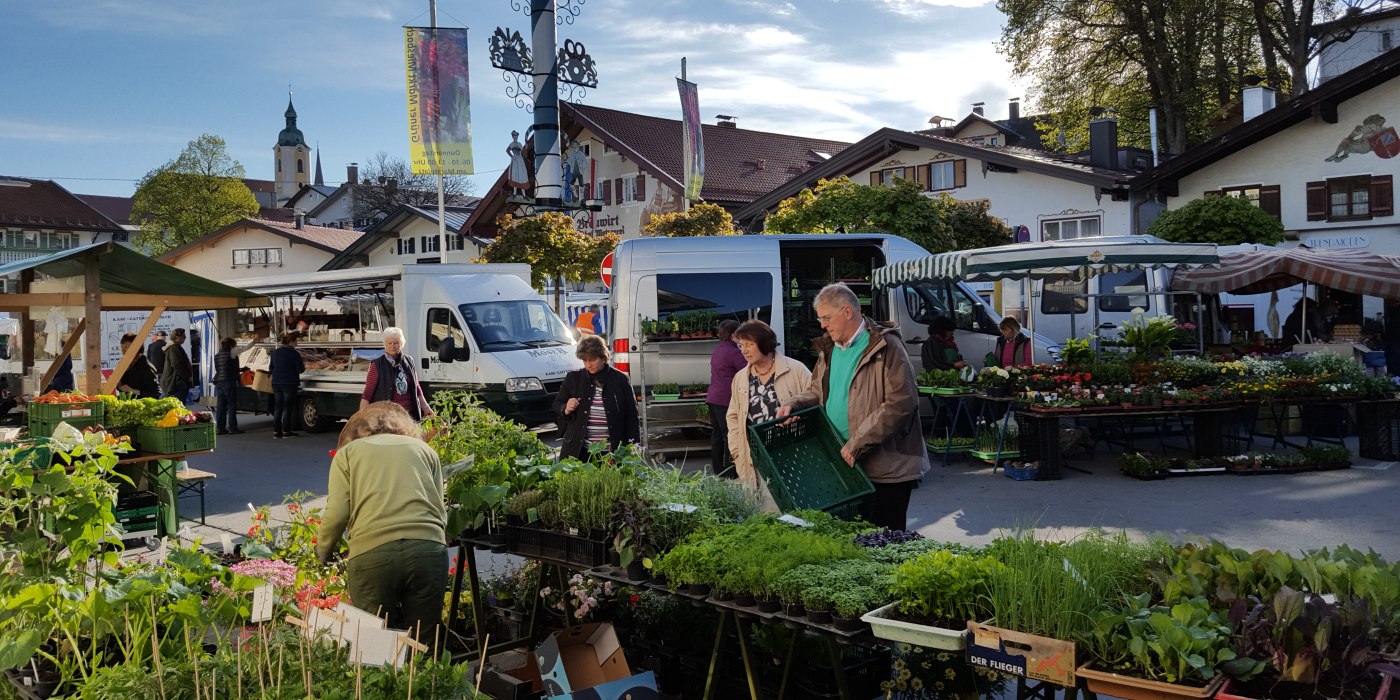 Miesbacher Marktplatz_Blumen Sonnenaufgang, © Kulturamt der Stadt Miesbach