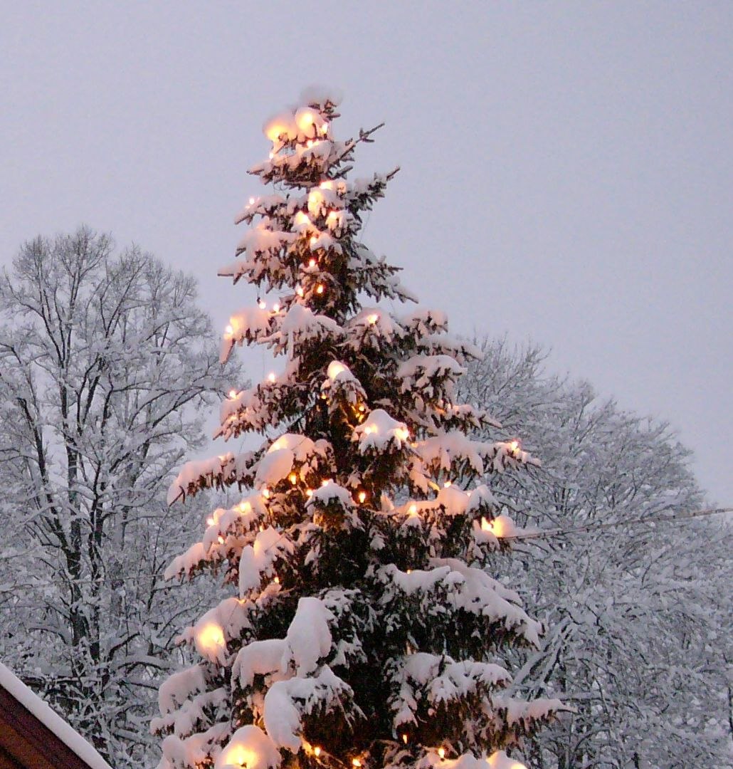 mbwinter457stadtmiesbach_1