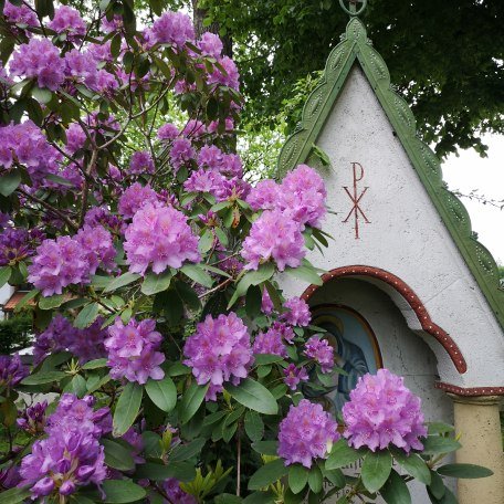 Waldfriedhof Miesbach, © Isabella Krobisch