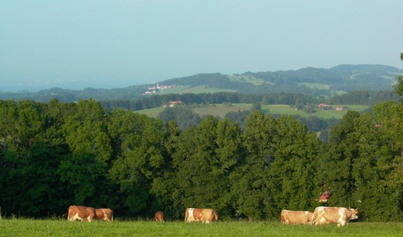 Blick vom Stadlberg, © Unbekannt