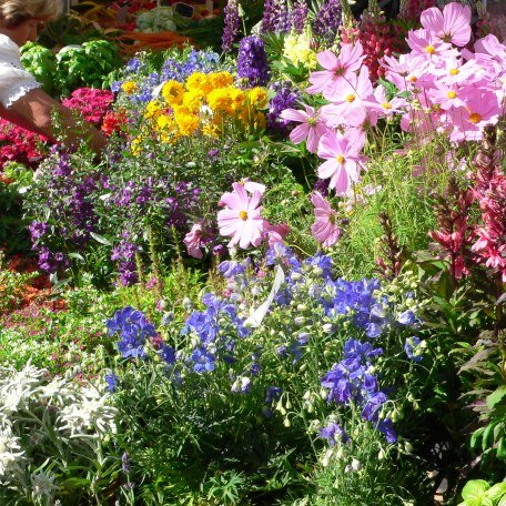 Blumen am Markt, © Kulturamt der Stadt Miesbach