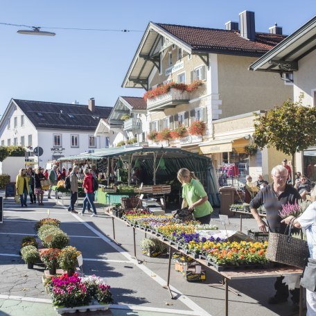 Wandern Aktiv Sein Urlaub In Miesbach In Oberbayern