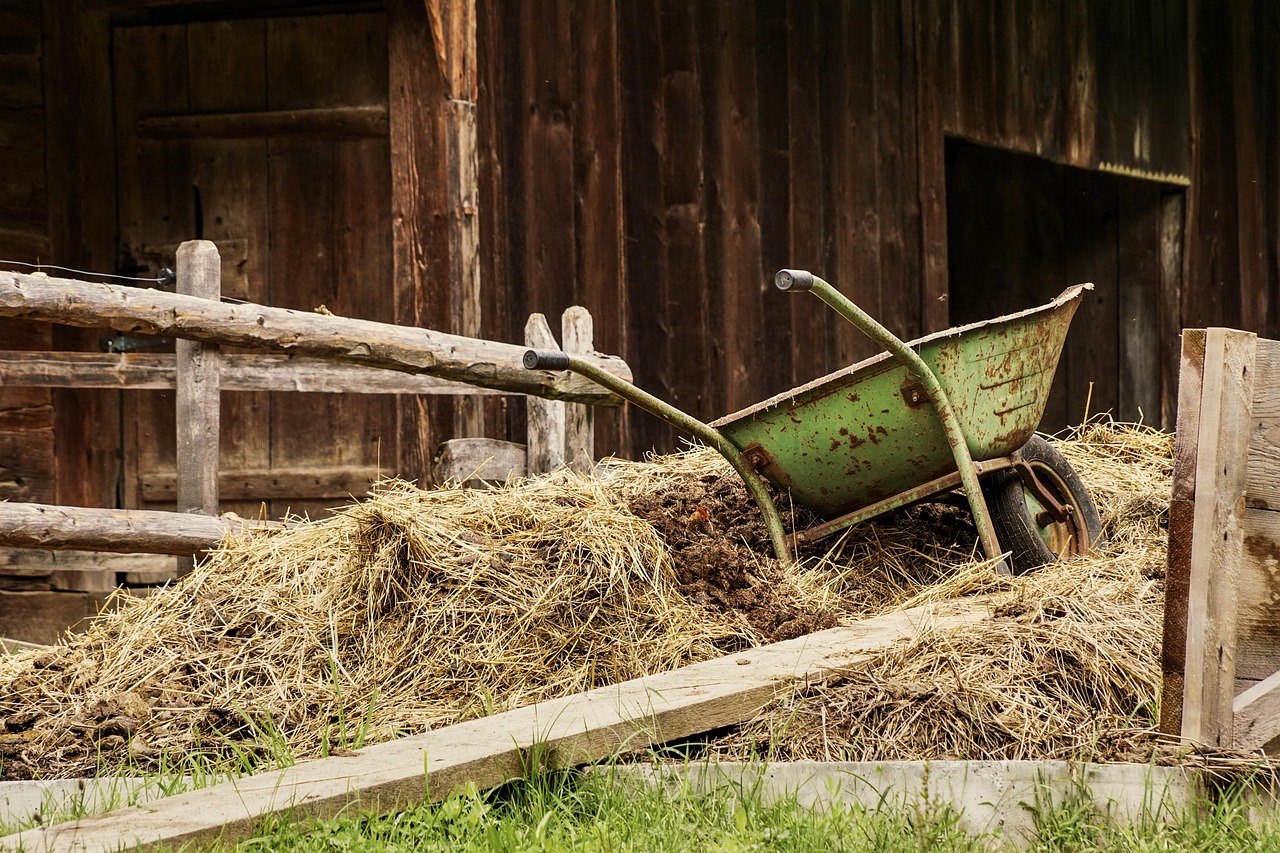 barn-4460490_1280_bettlhochzeit