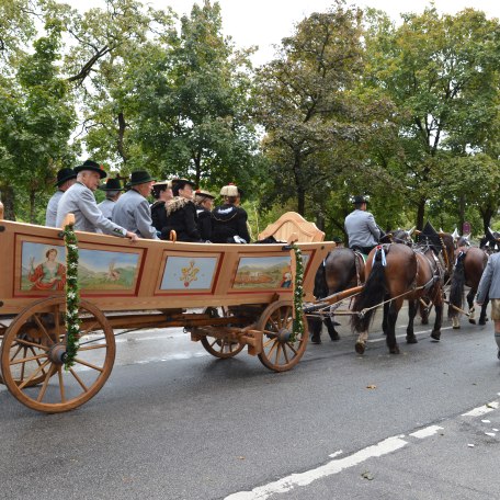 Truhenwagen auf Fahrt, © Roswitha Huber