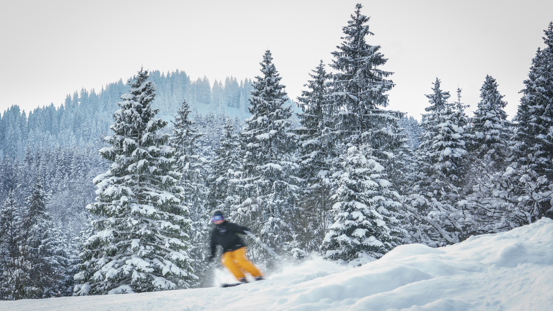 Winterstimmungen-120_DietmarDenger