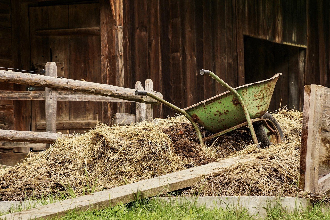 barn-4460490_1280_bettlhochzeit