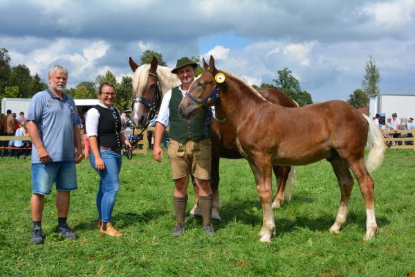 fohlenauktion, © Landesverband Bayerischer Pferdezüchter