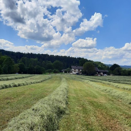 Heuernte, © im-web.de/ Kultur- und Tourismusamt Miesbach