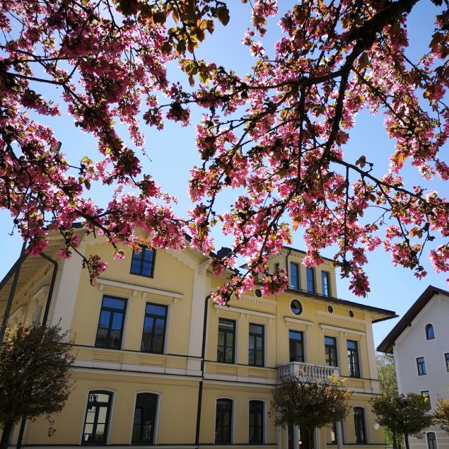 Villa Kammerer Rosenheimerstraße, © Isabella Krobisch