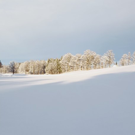 Biohof Oberlinner im Winter, &copy; Biohof Oberlinner GbR
