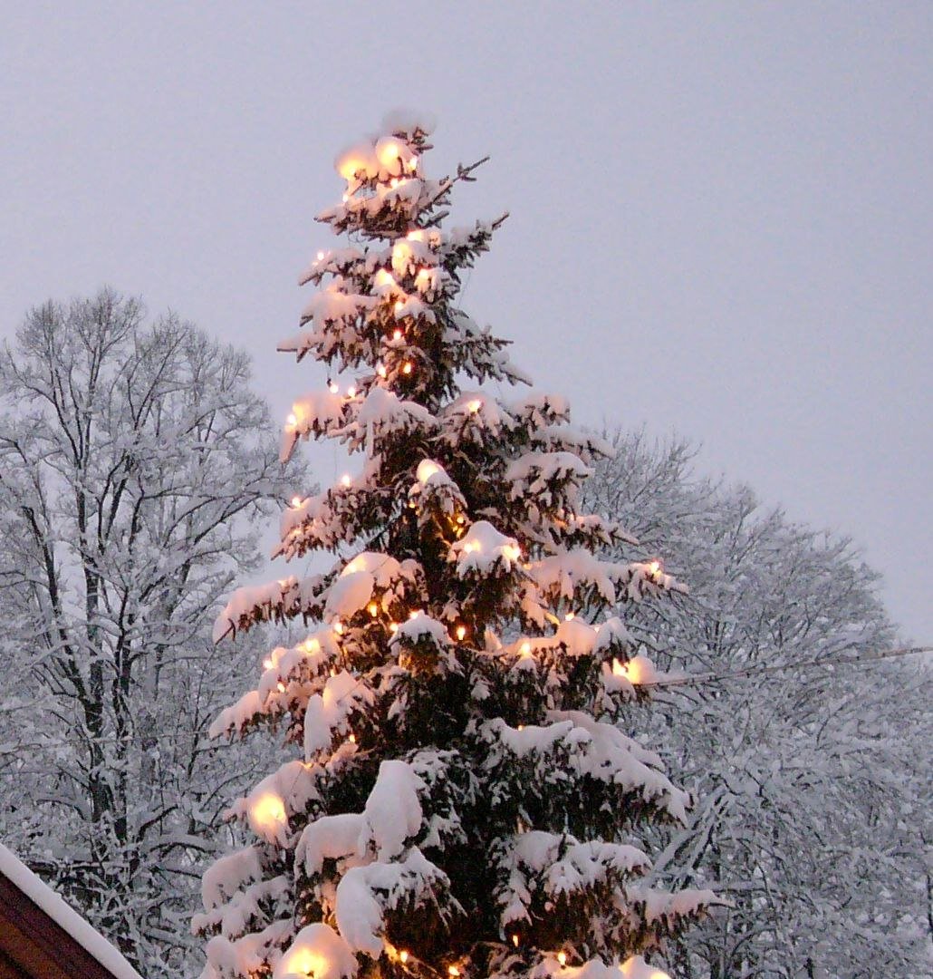 mbwinter457stadtmiesbach