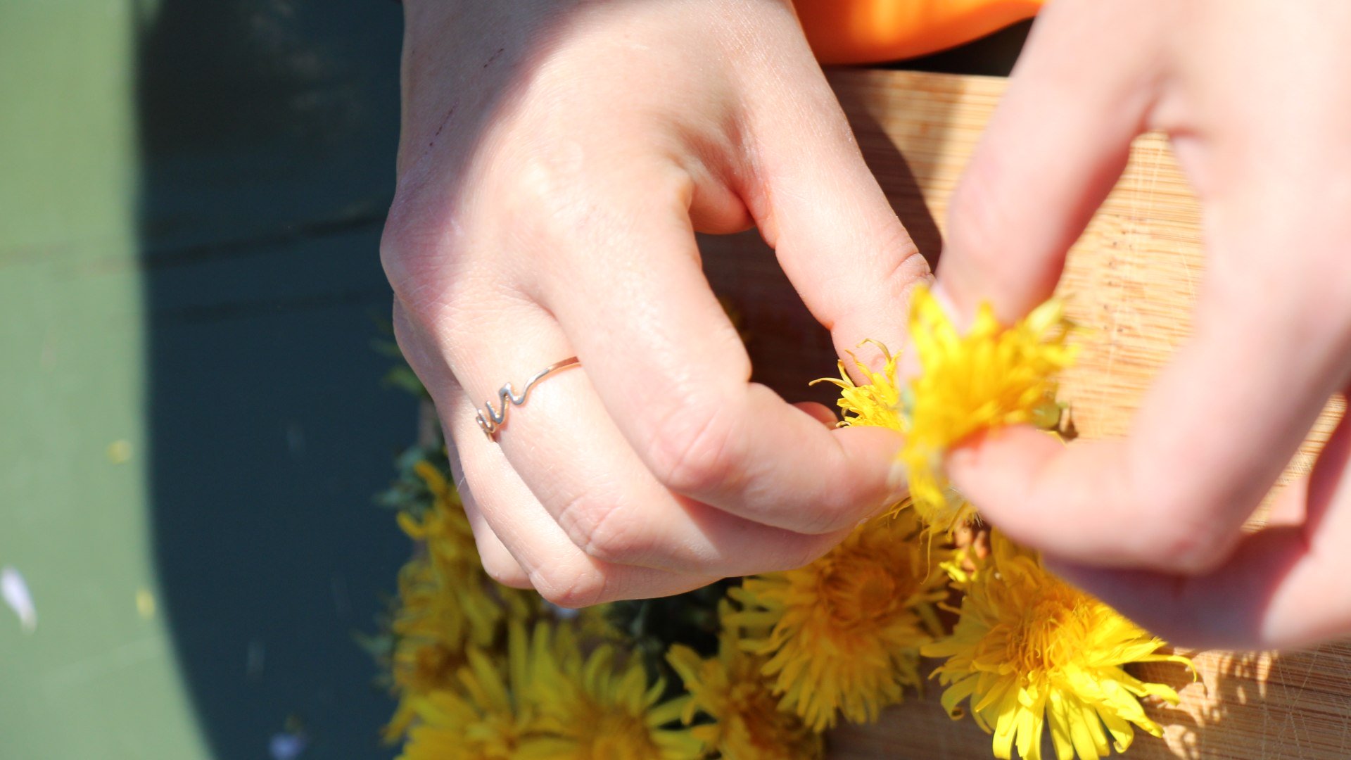 Kr&auml;uterp&auml;dagogen L&ouml;wenzahnhonig_C_Menke