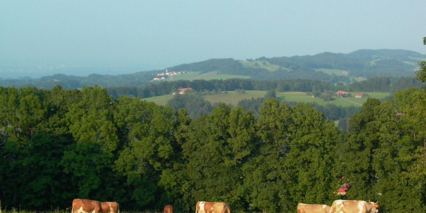 Blick vom Stadlberg