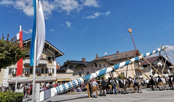 Maibaum, © Stadt Miesbach
