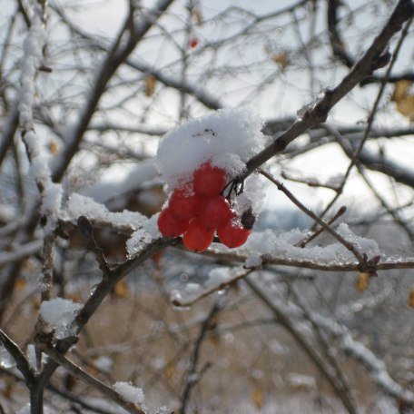 Ferienhaus Enke, © im-web.de/ Kultur- und Tourismusamt Miesbach
