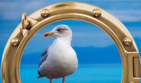 Bullmoewea Bullmoewea