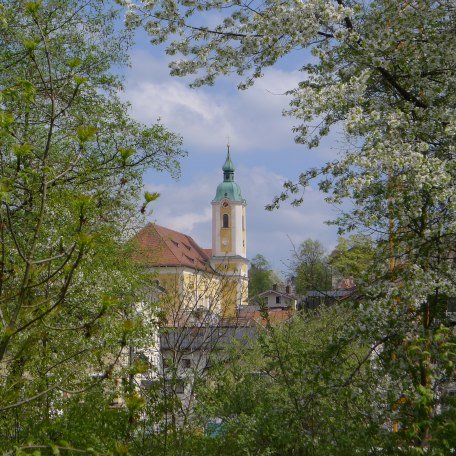 Stadtpfarrkirche Mariä Himmelfahrt , © Stadt Miesbach