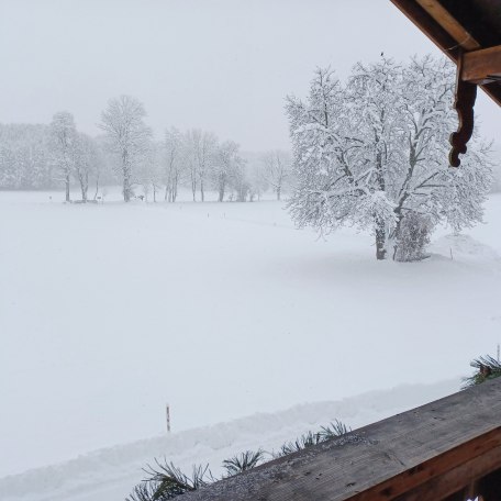 Ausblick, © Biohof Oberlinner GbR