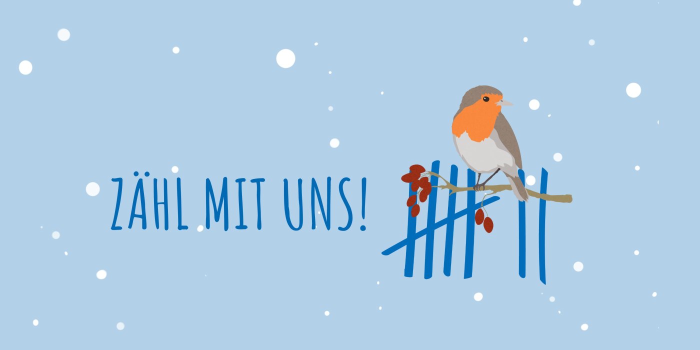 zaehl-mit-uns-sdw-banner-interim-3000-x-2000-px, © LBV Landesbund für Vogelschutz in Bayern e.V. zaehl-mit-uns-sdw-banner-interim-3000-x-2000-px, © LBV Landesbund für Vogelschutz in Bayern e.V.