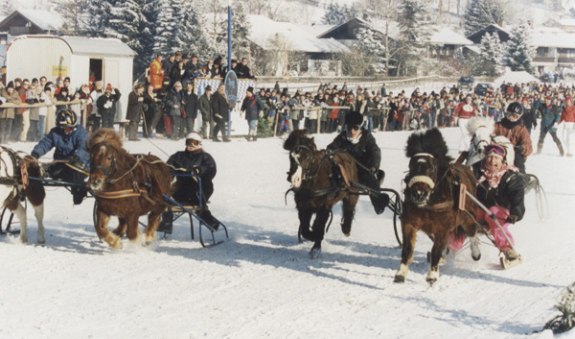 pony1_1, © Rennverein Parsberg pony1_1, © Rennverein Parsberg