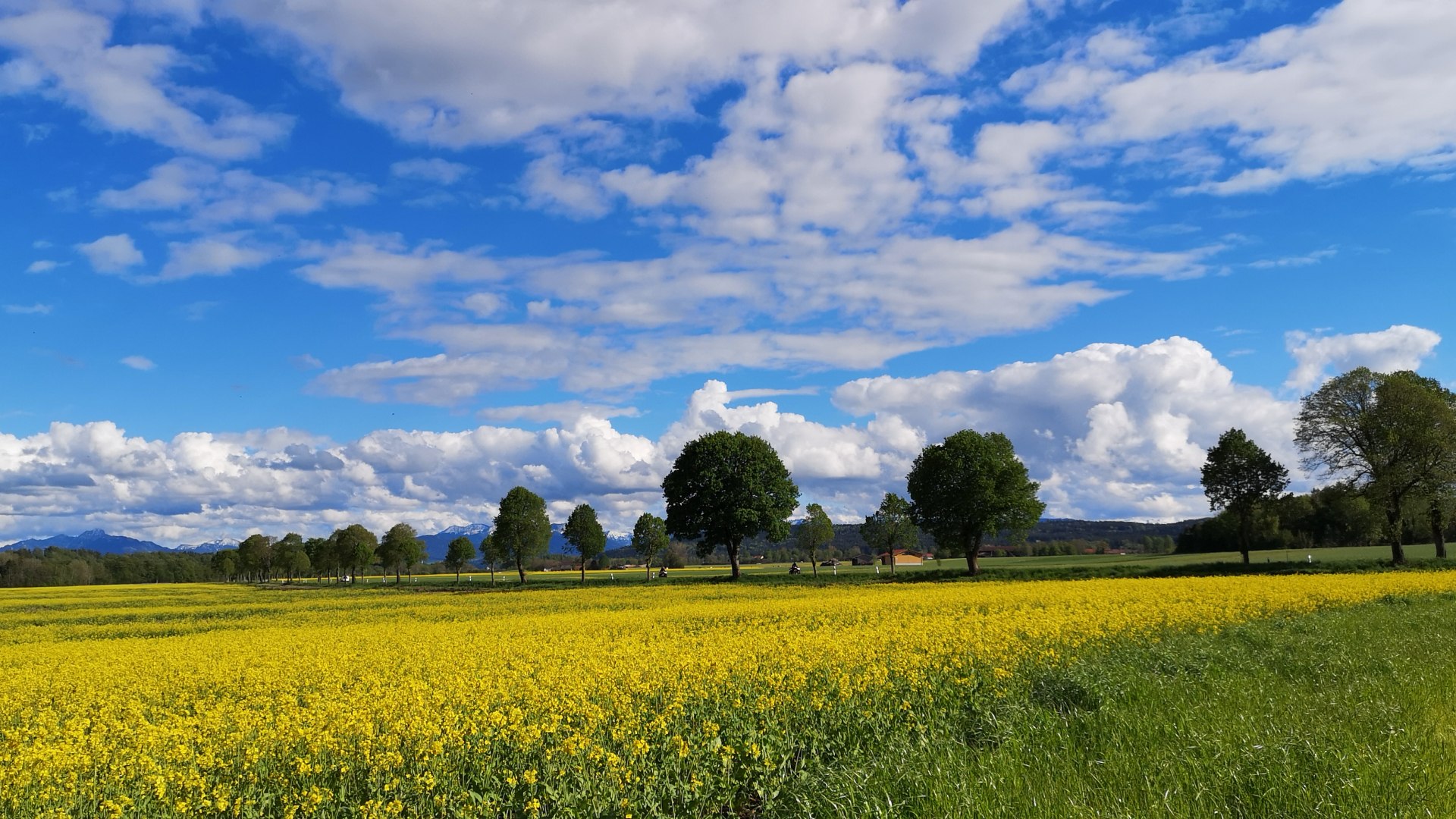 Grüne Landschaft, © Isabella Krobisch