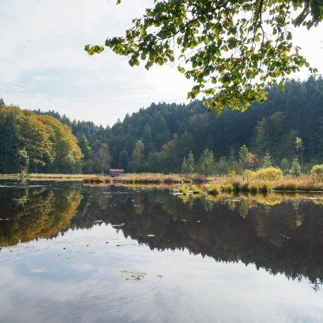 lightroom-70-von-108