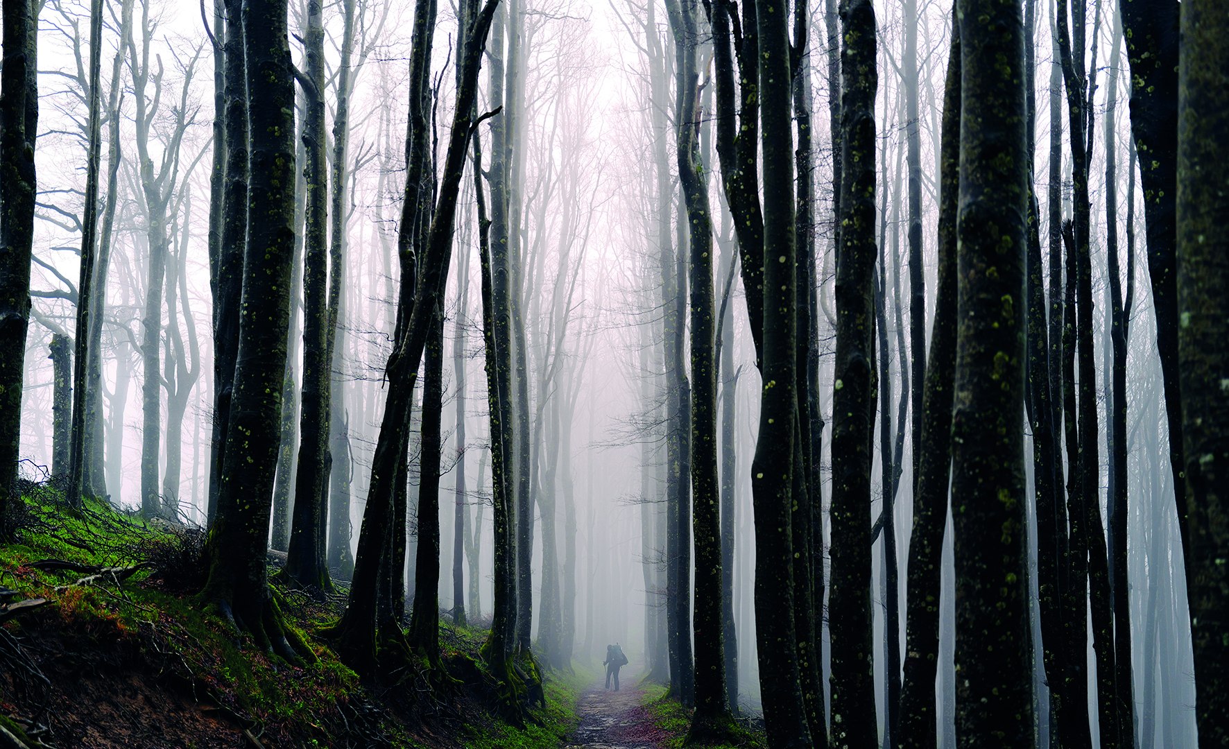 20260329_HochUndHeilig_CMYK