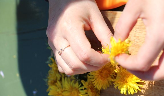 Kr&auml;uterp&auml;dagogen L&ouml;wenzahnhonig_C_Menke