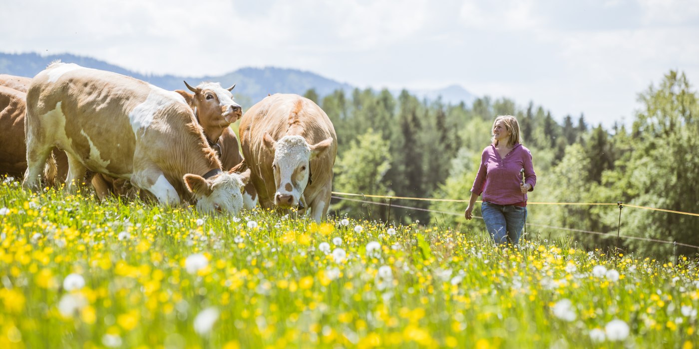 Landwirtschaft, © Hansi Heckmair
