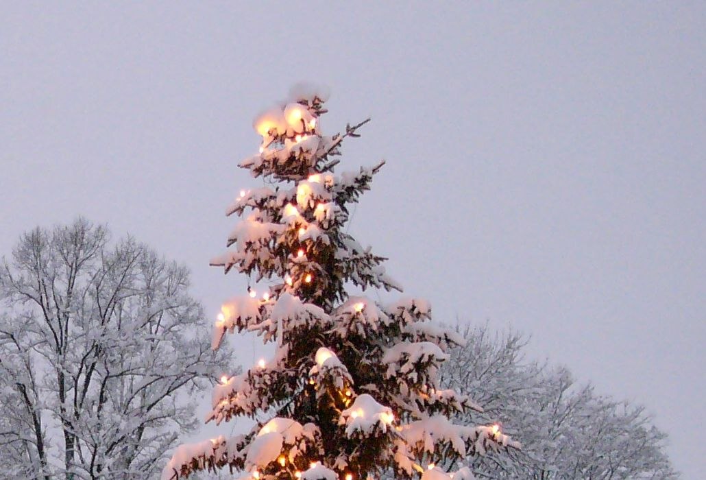 mbwinter457stadtmiesbach_1