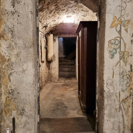 kellergang, © Eva Egginger