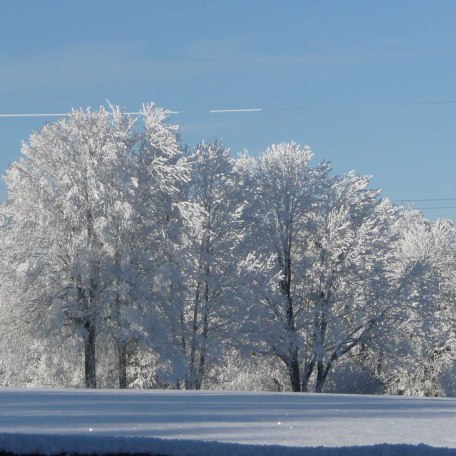 Winterlandschaft, © im-web.de/ Kultur- und Tourismusamt Miesbach