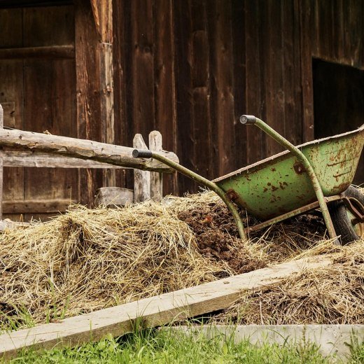 barn-4460490_1280_bettlhochzeit