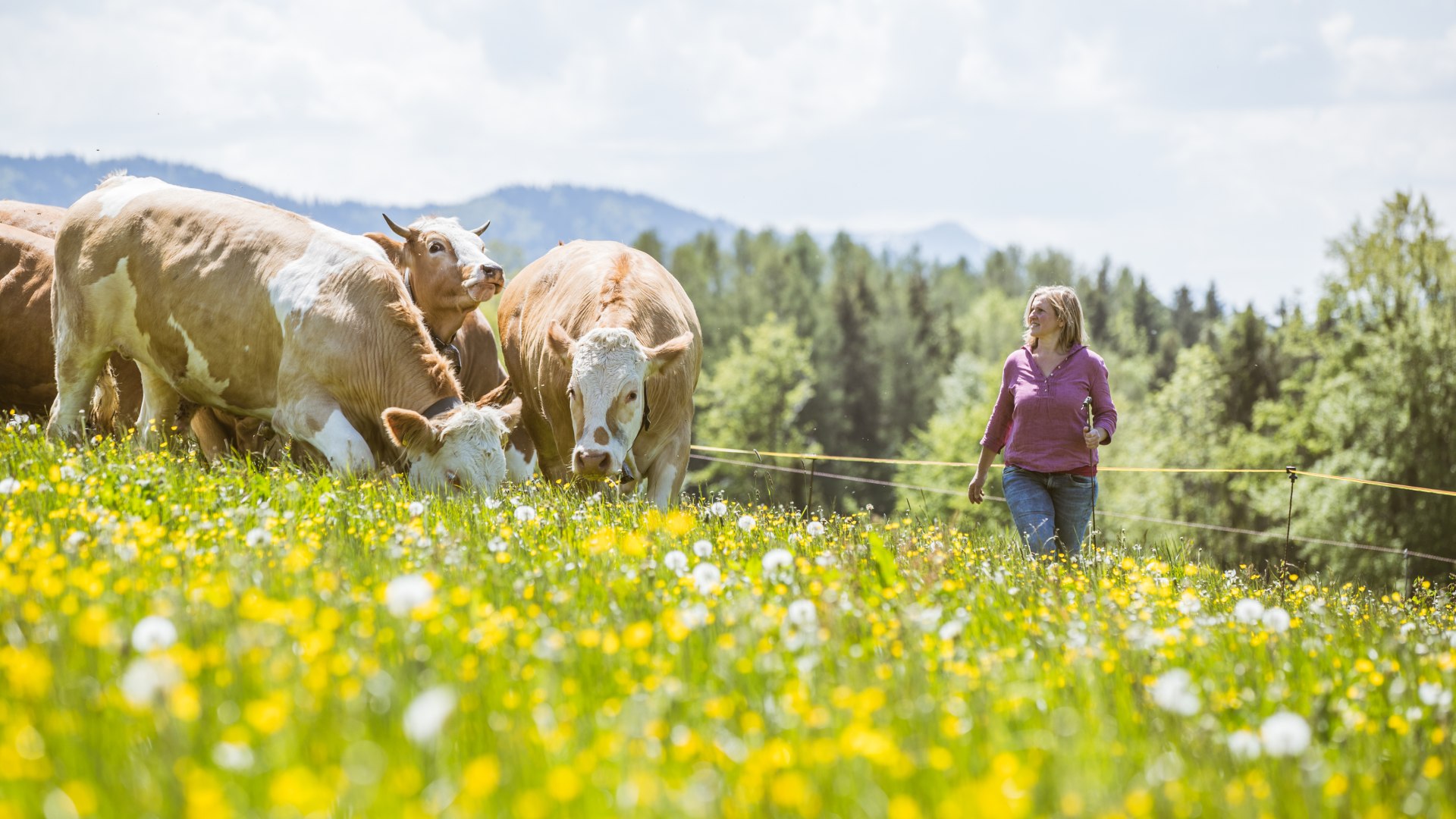 Landwirtschaft, © Hansi Heckmair