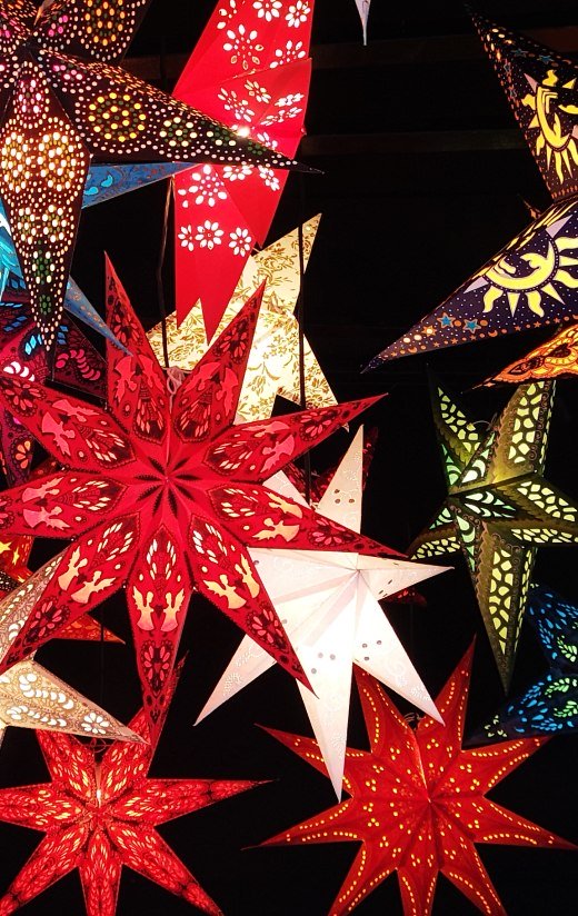 Weihnachtssterne (2)c Kulturamt