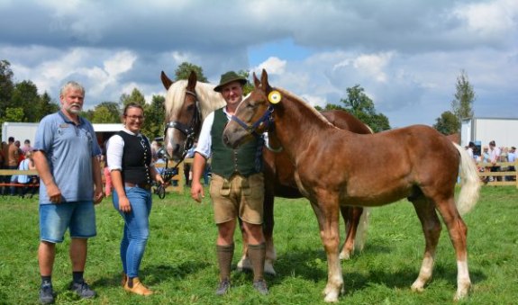 fohlenauktion, &copy; Landesverband Bayerischer Pferdez&uuml;chter