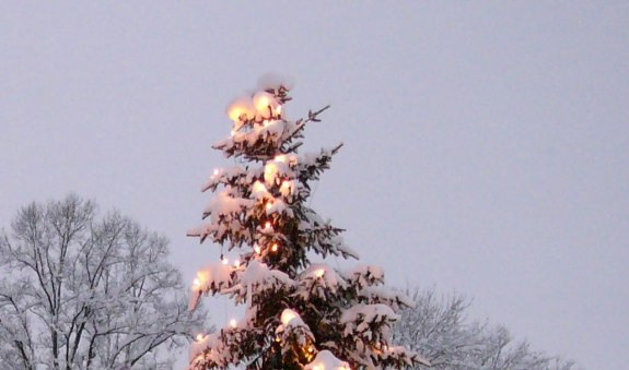 mbwinter457stadtmiesbach