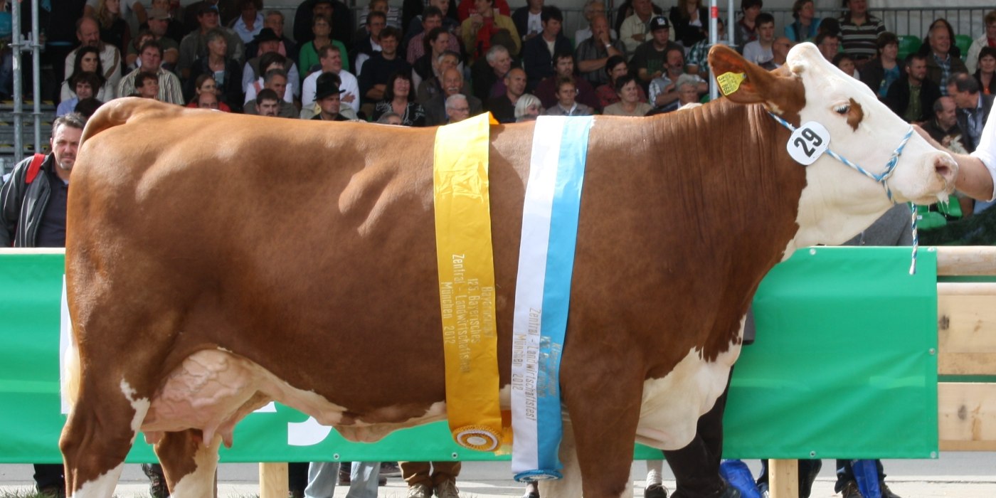 zuchtverband_3_1, &copy; Zuchtverband Miesbach