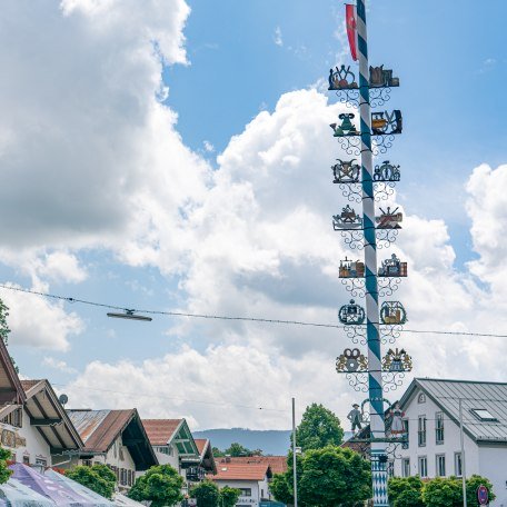 Maibaum, © Stadt Miesbach