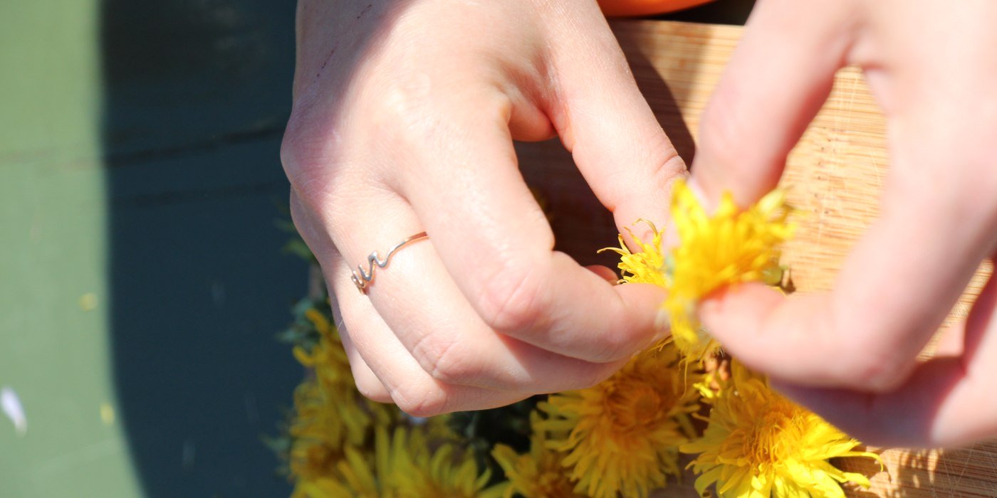 Kr&auml;uterp&auml;dagogen L&ouml;wenzahnhonig_C_Menke