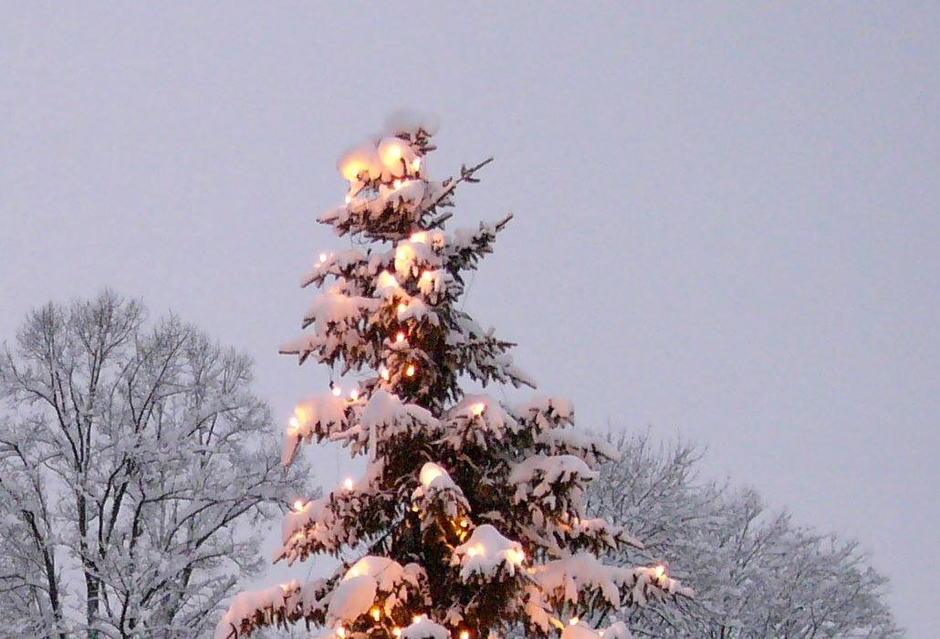 mbwinter457stadtmiesbach
